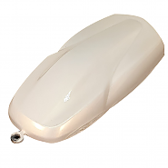 LC2X-01 Satin Gold (새틴 골드) 메탈릭 페인트